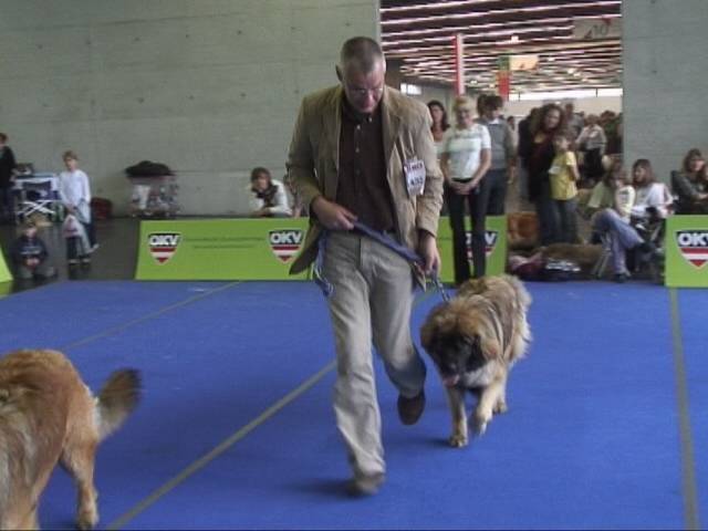 Salzburg Clubschau Mai 06 123 